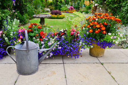 English country gardenの写真素材
