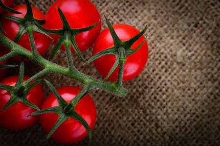 Fresh ripe organic rustic tomatoes on the vineの写真素材