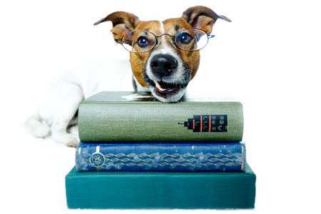 dog reading books