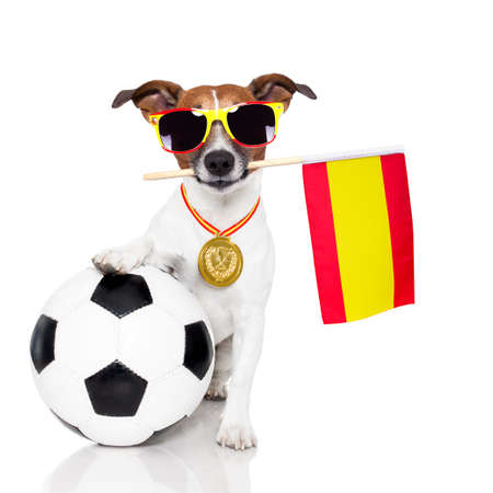 dog as soccer with medal and  flagの写真素材