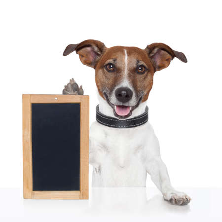 board placeholder banner dog woodの写真素材