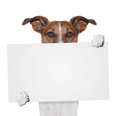 placeholder banner dogの写真素材