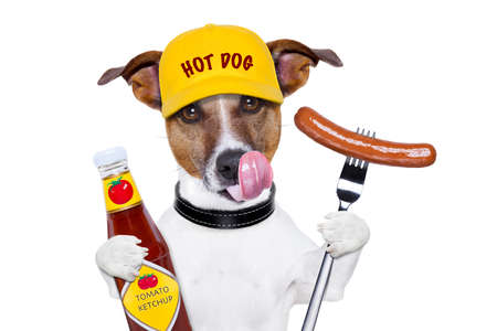 fast food dog with hot dog and ketchup licking with tongueの写真素材