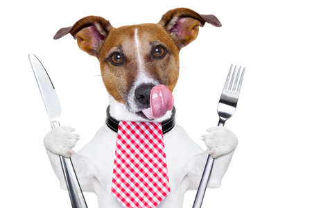 hungry dog with knife and fork  for dinnerの写真素材