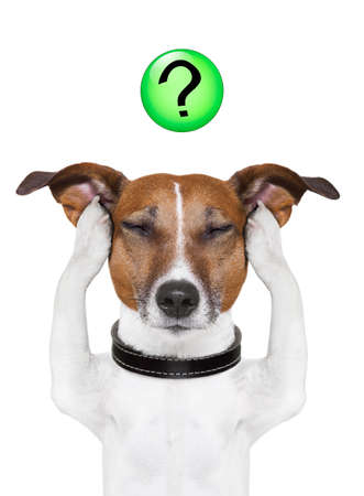 dog thinking with a question mark on topの写真素材