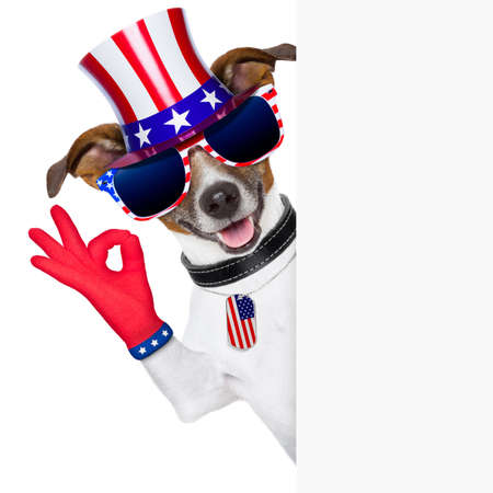 pride american dog with  ok fingers behind bannerの写真素材