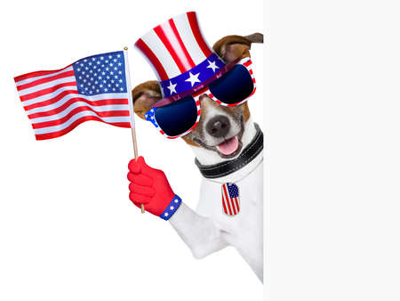 pride american dog waving us flag behind bannerの写真素材