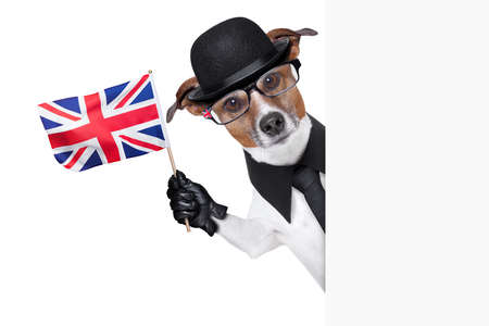 british dog with black bowler hat and black suit waving a flagの写真素材