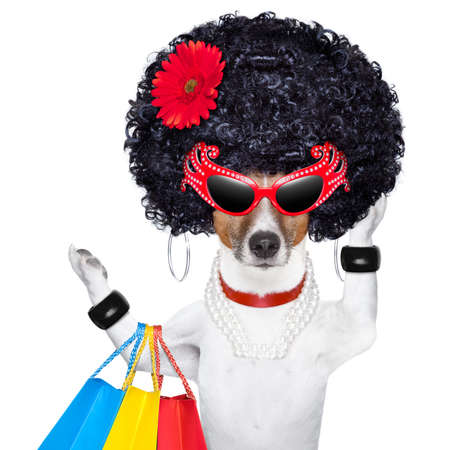 diva dog shopping like a pro , holding a bunch of bagsの写真素材