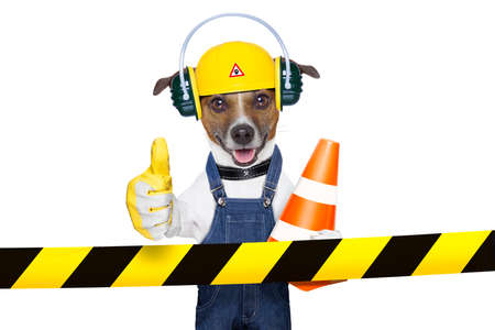 funny under construction dog with thumb upの写真素材
