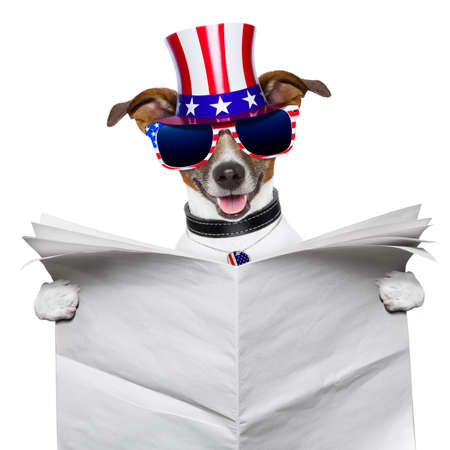 american dog reading a big blank newspaperの写真素材