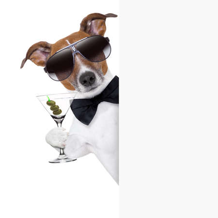 dog toasting with martini glass behind a blank placard banner dog toasting with martini glass behind a blank placard banner
