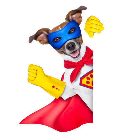 super hero dog with  red cape and a  blue mask beside a blank bannerの写真素材