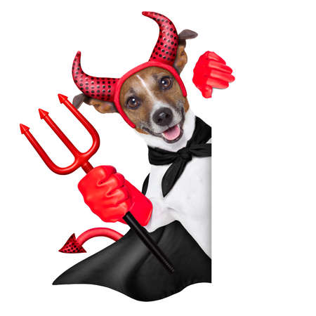 devil dog behind a blank white banner