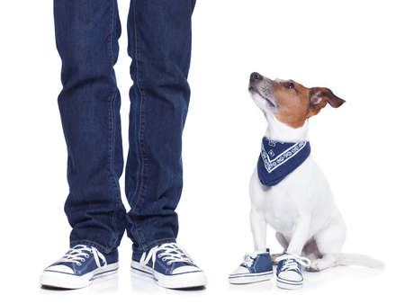dog owner with dog both wearing sneakers and a skateboard