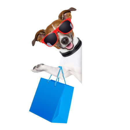 shopping dog holding a blue shopping bag wearing sunglassesの写真素材