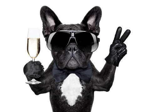 french bulldog with a  champagne glass and victory or peace fingersの写真素材
