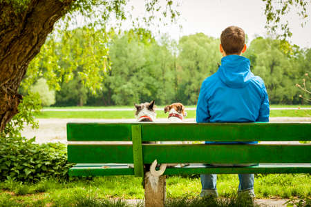 owner sitting with two dogs on a green bank relaxingの写真素材