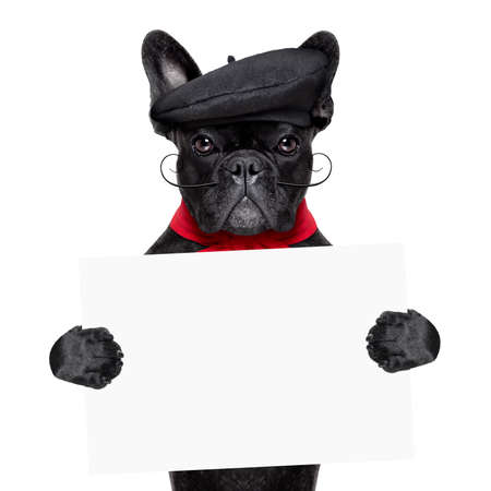 french bulldog holding white and blank banner or placardの写真素材