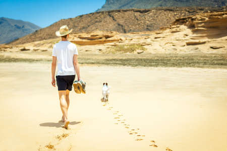dog and owner walking at the beach on a paradise beach