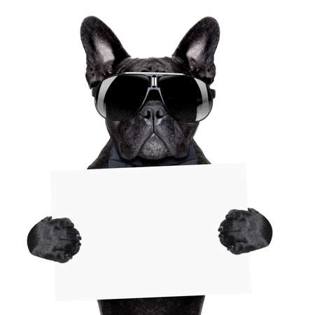 dog holding a blank placard or bannerの写真素材