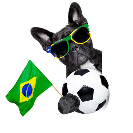 brazil soccer dog  with flag and ball beside a white blank white banner or placardの写真素材