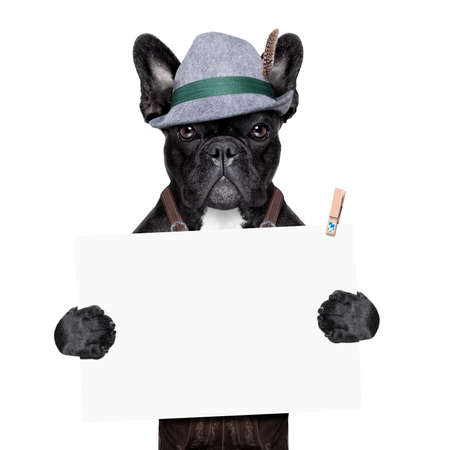 bavarian german dog holding a white blank banner or placardの写真素材