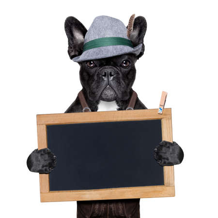 bavarian german dog holding a blank blackboardの写真素材