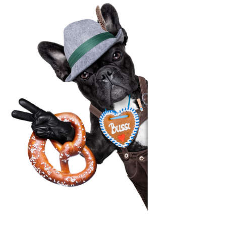 bavarian german dog besides  a white blank banner or placard with peace or victory fingers and  pretzel breadの写真素材