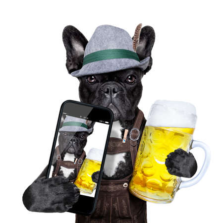 bavarian dog taking a selfie while holding a beer mugの写真素材
