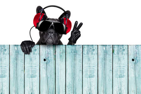 dj dog listening to music behind an empty and blank wood wall with victory and peace fingersの写真素材