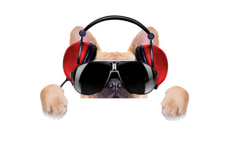 dj bulldog dog with headphones listening to music behind a white banner or placard , isolated on white backgroundの写真素材