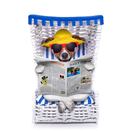 dog reading newspaper on a beach chair with sunglasses and yellow hat , isolated on white backgroundの写真素材