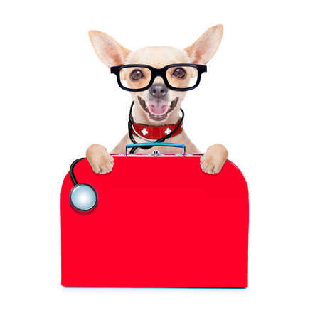 chihuahua dog as a medical veterinary doctor with stethoscope and first aid kit behind a white and blank banner ,isolated on white backgroundの写真素材