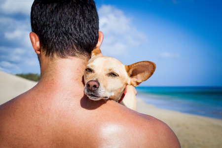 dog and owner sitting close together at the beach on summer vacation holidays, embracing a hugの写真素材