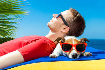 jack russell dog  and owner sunbathing a having a siesta under a palm tree , on summer vacation holidays at the beachの写真素材