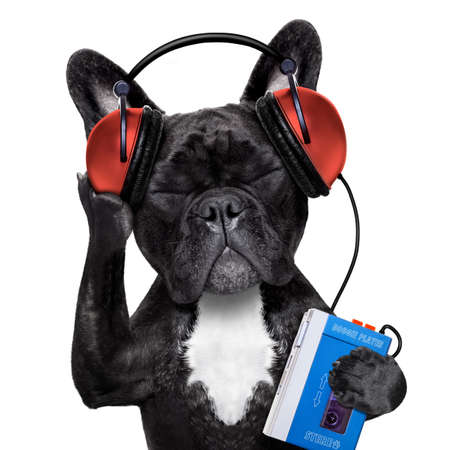 french bulldog dog  listening to oldies with headphones 