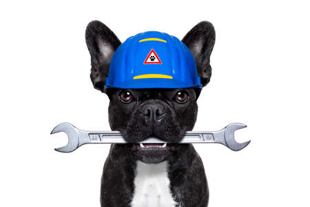 handyman dog worker with helmet and wrench in mouth, ready to repair, fix everything at home, isolated on white backgroundの写真素材