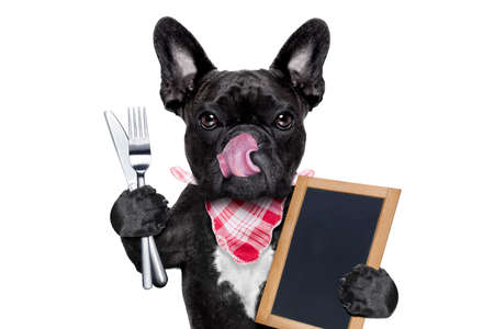 hungry french bulldog dog  ready to eat dinner or lunch , holding a blank blackboard or placard, tongue sticking out , isolated on white backgroundの写真素材