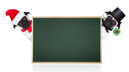 row and group of different santa claus dogs behind an empty blank banner , placard or blackboard,...
