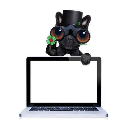 french bulldog dog with binoculars wishing good luck on new years eve, behind laptop pc computer screen , isolated on white backgroundの写真素材