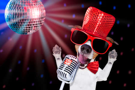 jack russell terrier dog isolated on black background singing with microphone a karaoke song in a night club, disco ball in backgroundの写真素材