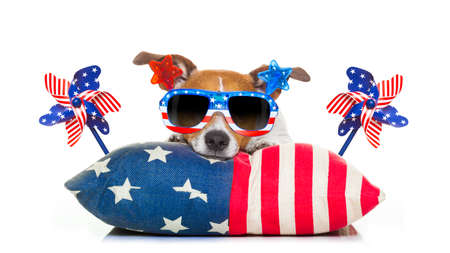 jack russell dog celebrating 4th of july independence day holidays with american flags and sunglasses, isolated on white backgroundの写真素材