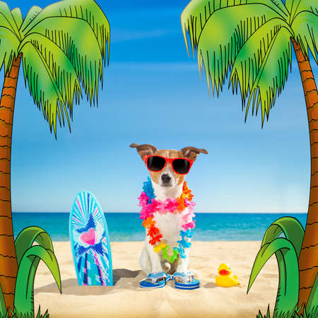 jack russell dog at the beach with a surfboard wearing sunglasses and flower chain at the ocean shore on summer vacation holidaysの写真素材