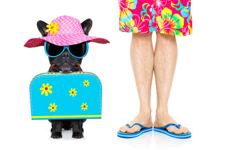 dog and owner with bag and luggage ready for a summer holiday vacation together , isolated on white backgroundの写真素材