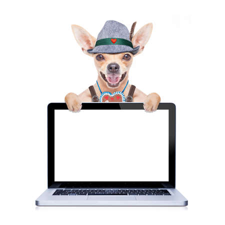 bavarian german chihuahua dog with  gingerbread and hat,laptop pc screen computer display,  isolated on white background , ready for the beer celebration festival in munichの写真素材