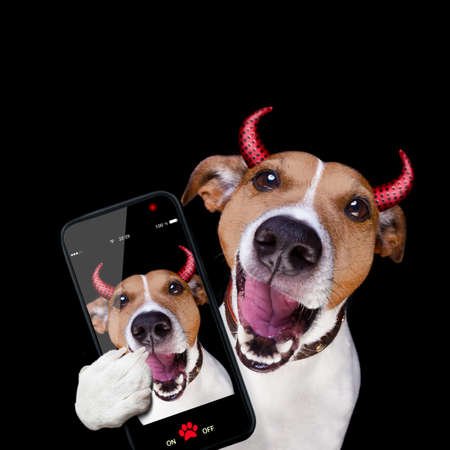 jack russell terrier dog isolated on black background looking at you  with open smacking mouth taking selfie with smartphone or tablet pcの写真素材