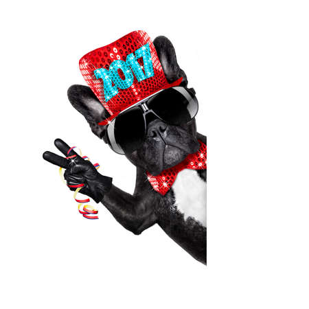 french bulldog dog celebrating 2017 new years eve on white background beside a banner or placard, peace and victory fingersの写真素材