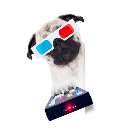 pug dog at cinema watching a movie or television tv programm with 3d glasses isolated on white background, holding the remote controlの写真素材