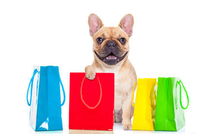 french bulldog  dog with shopping bags ready for discount and sale at the  mall, isolated on white backgroundの写真素材